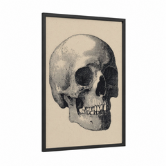 Anatomical Skull Engraving Study Wall Art
