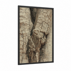 Ancient Baobab Tree Bark Texture Detail Wall Art