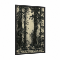Ancient Redwood Forest Etching Wall Art