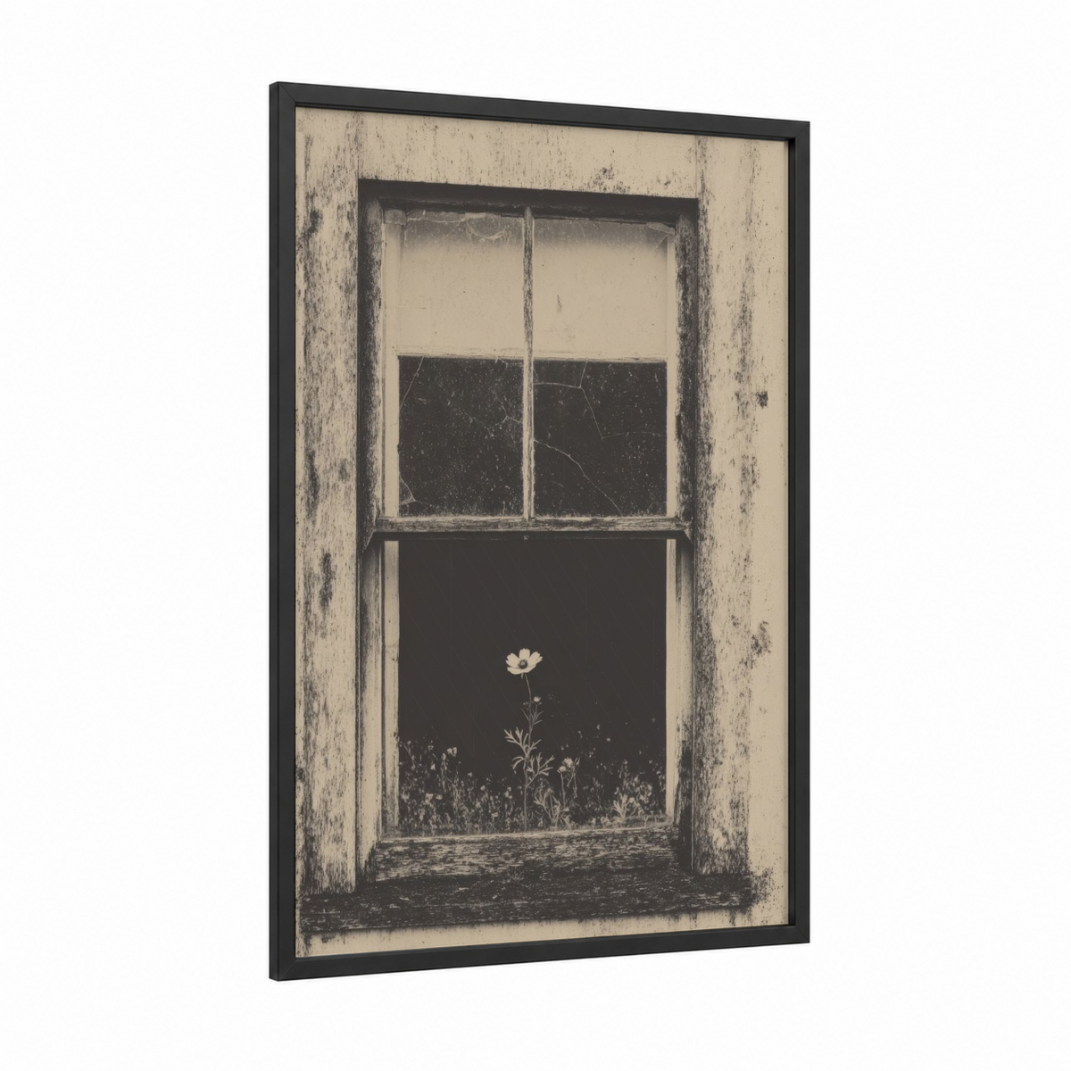 Abandoned Window With Solitary Flower Wall Art