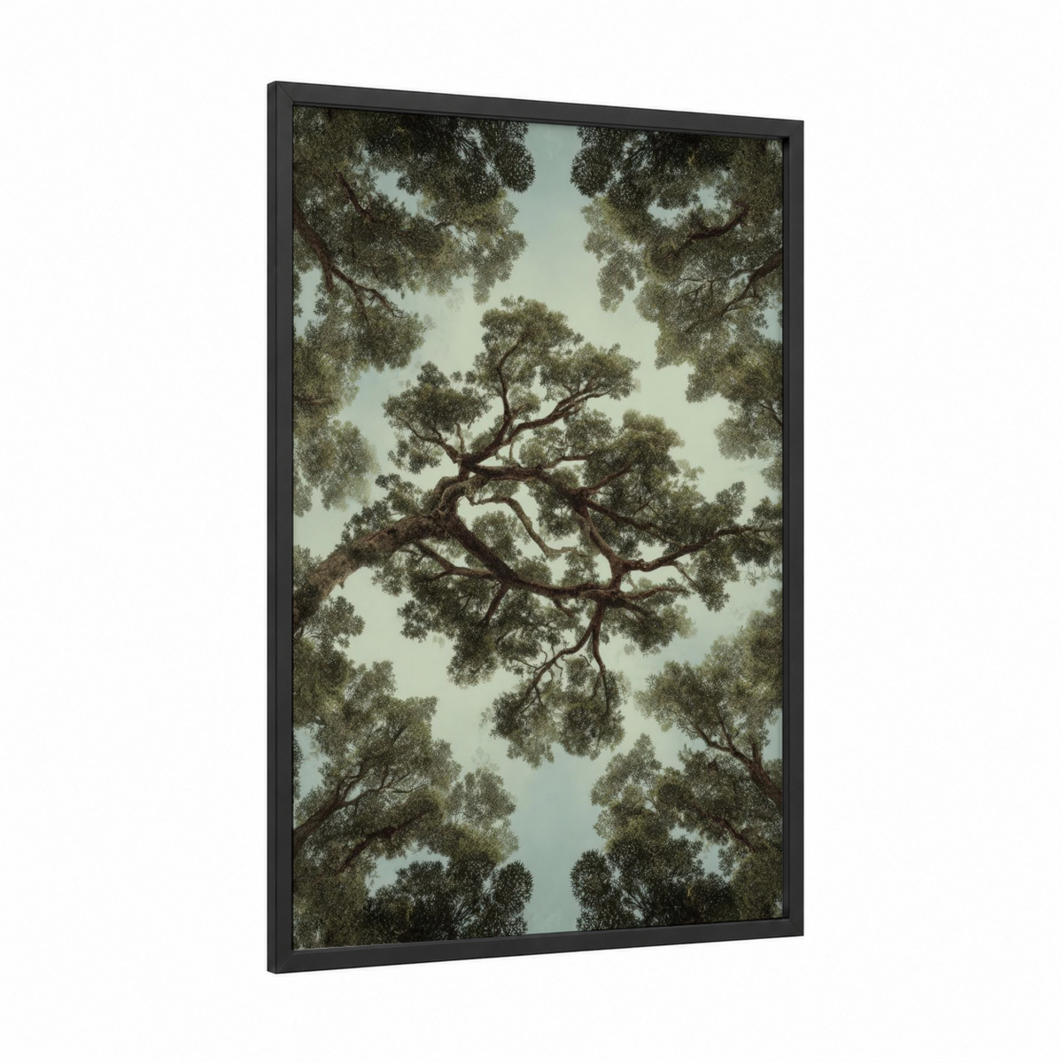 Ancient Kauri Tree Canopy Forest View Wall Art