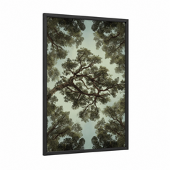 Ancient Kauri Tree Canopy Forest View Wall Art