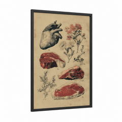 Anatomical Meat Study Vintage Illustration Wall Art