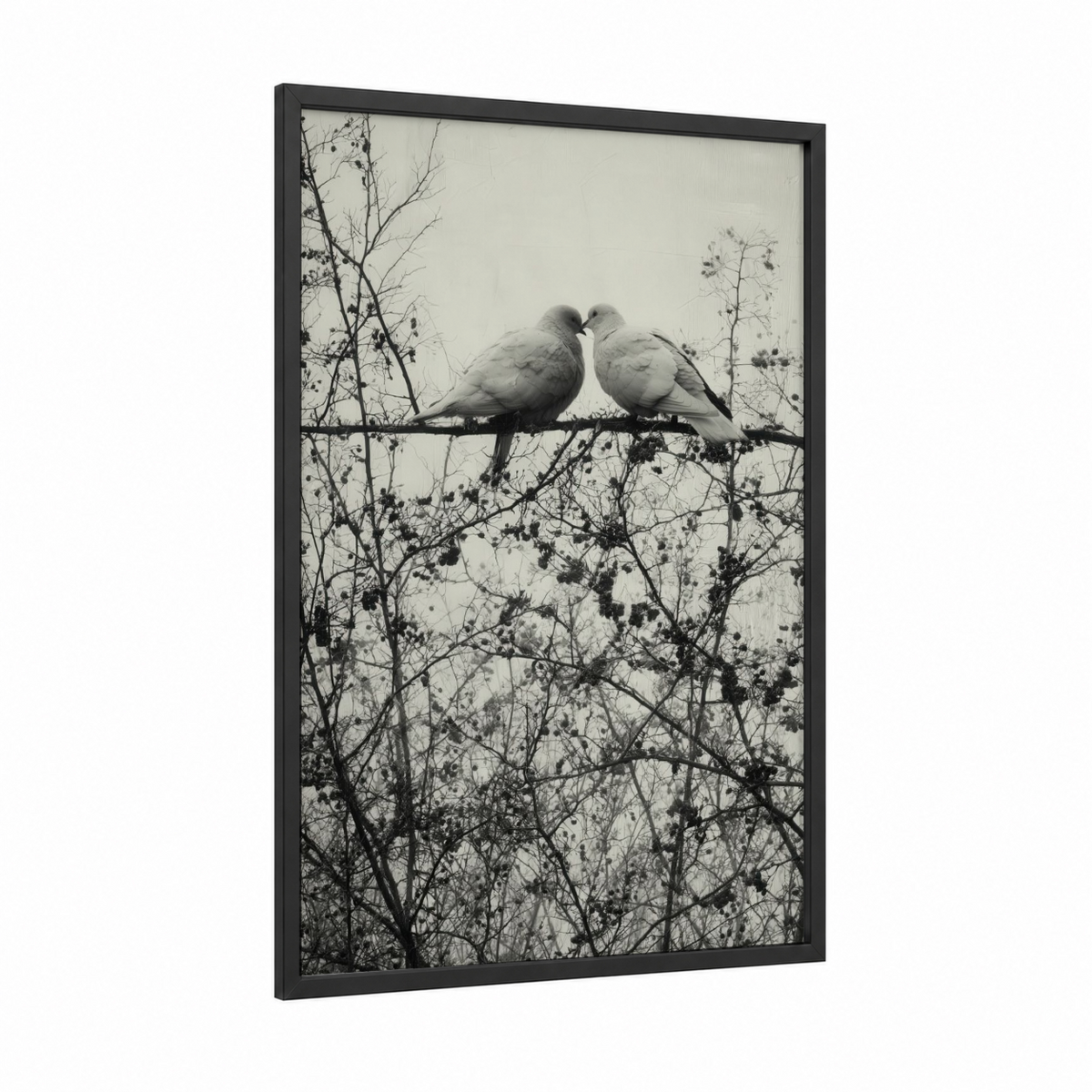 Affectionate Doves Black and White Photography Wall Art