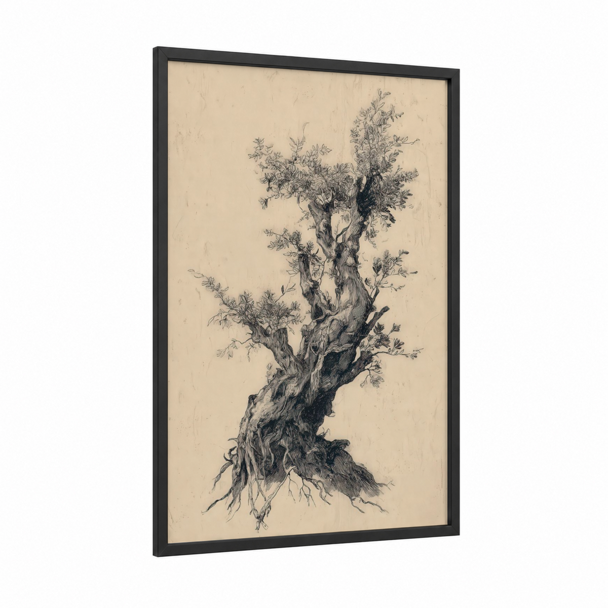 Ancient Olive Tree Botanical Ink Drawing Wall Art
