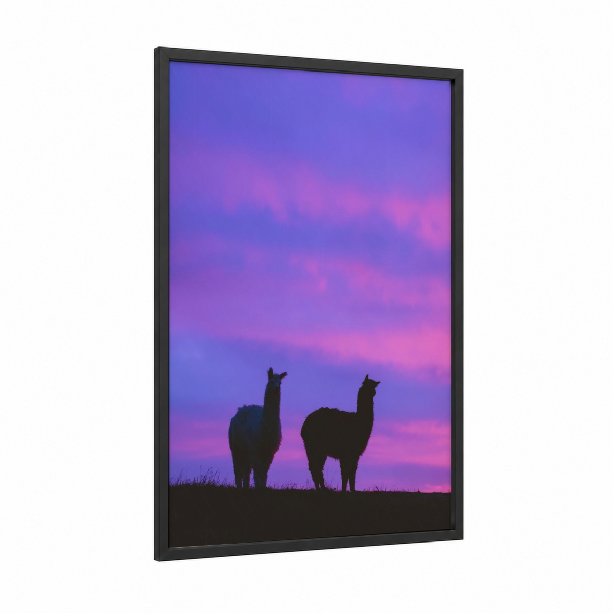 Alpaca Pair Sunset Silhouette Wall Art