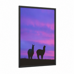Alpaca Pair Sunset Silhouette Wall Art
