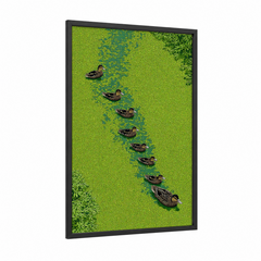 Aerial Duck Flock Green Pond Wall Art