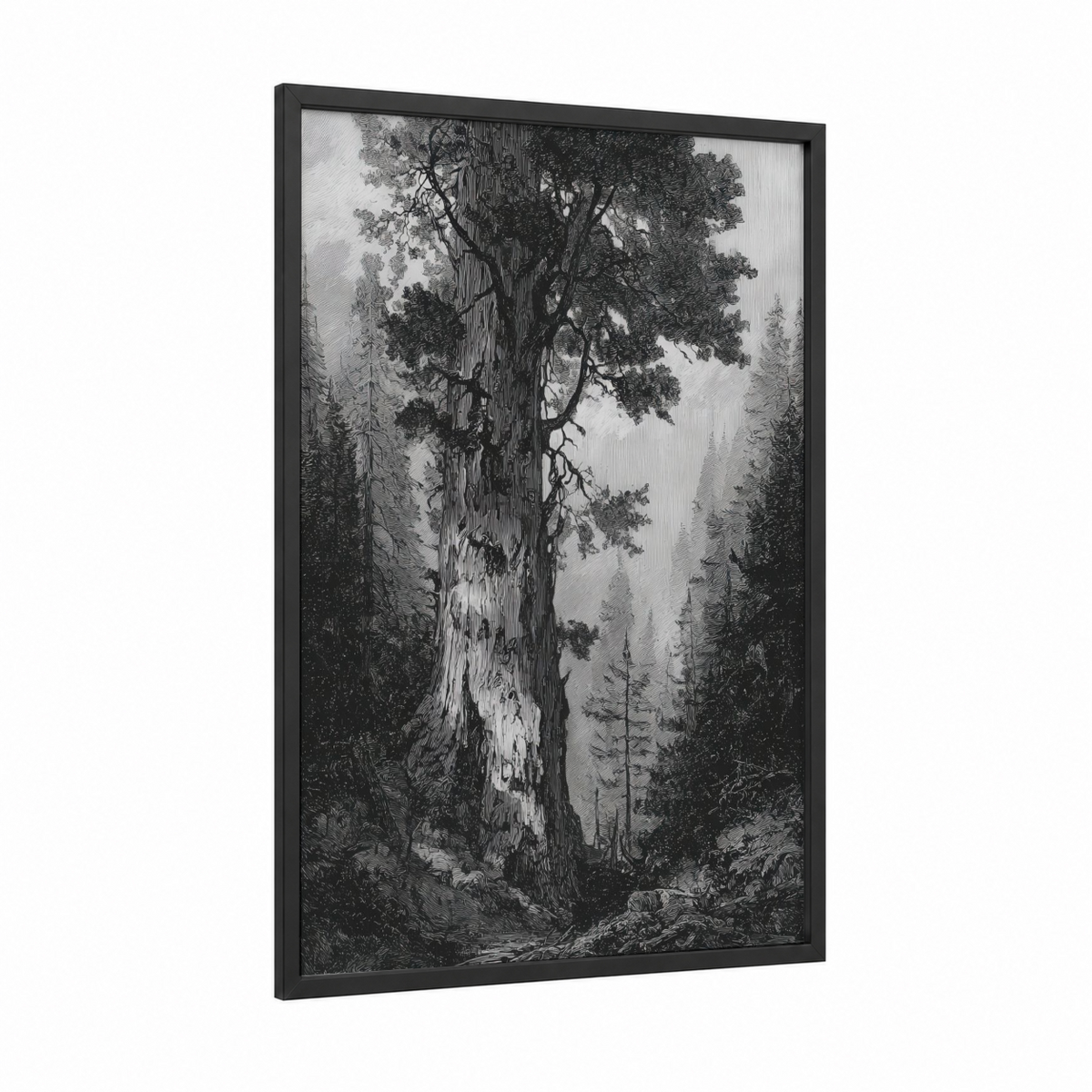 Ancient Redwood Forest Engraving Wall Art