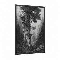 Ancient Redwood Forest Engraving Wall Art