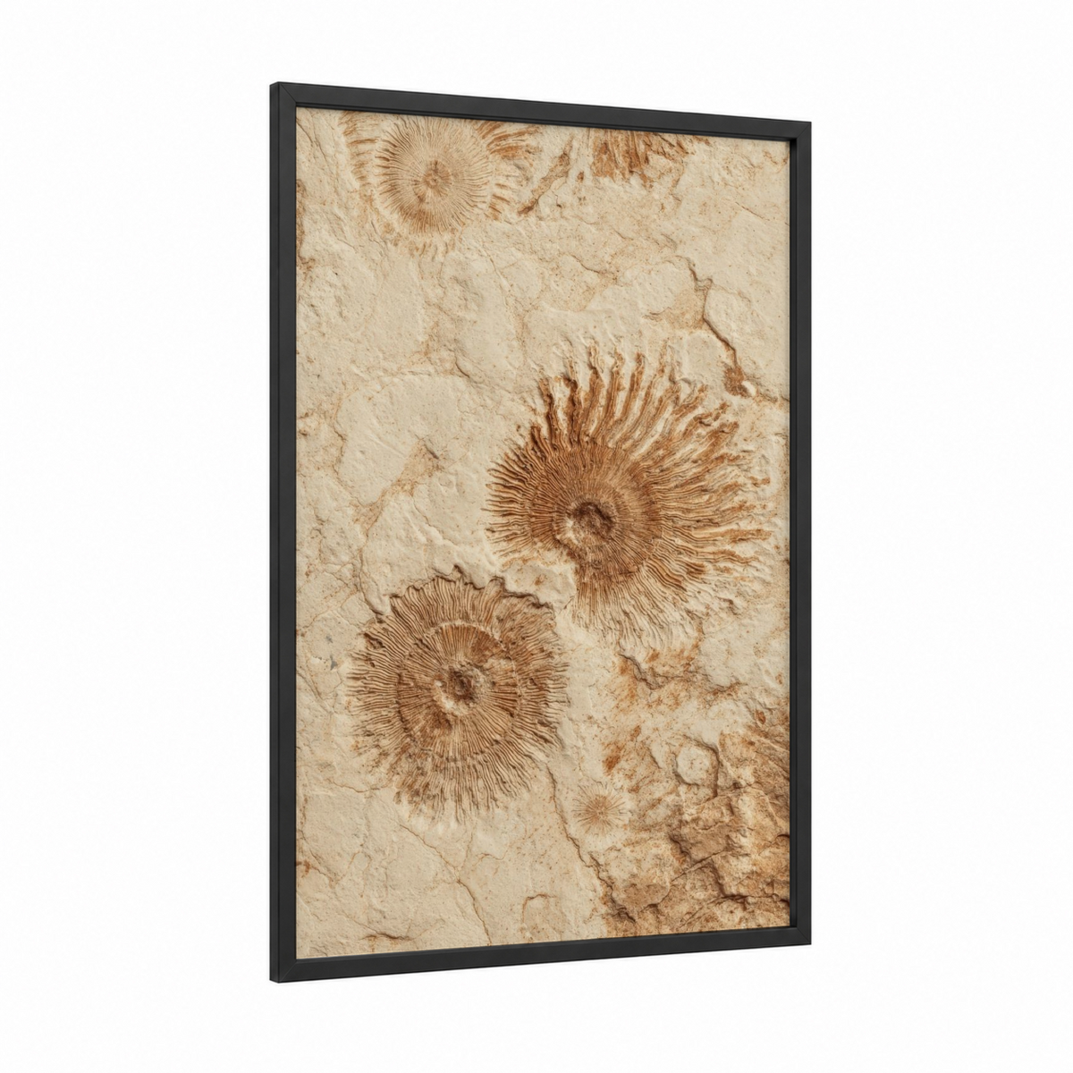 Ancient Fossil Impressions Stone Wall Art