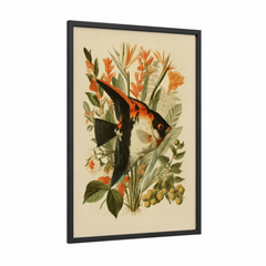 Angelfish Botanical Vintage Illustration Wall Art