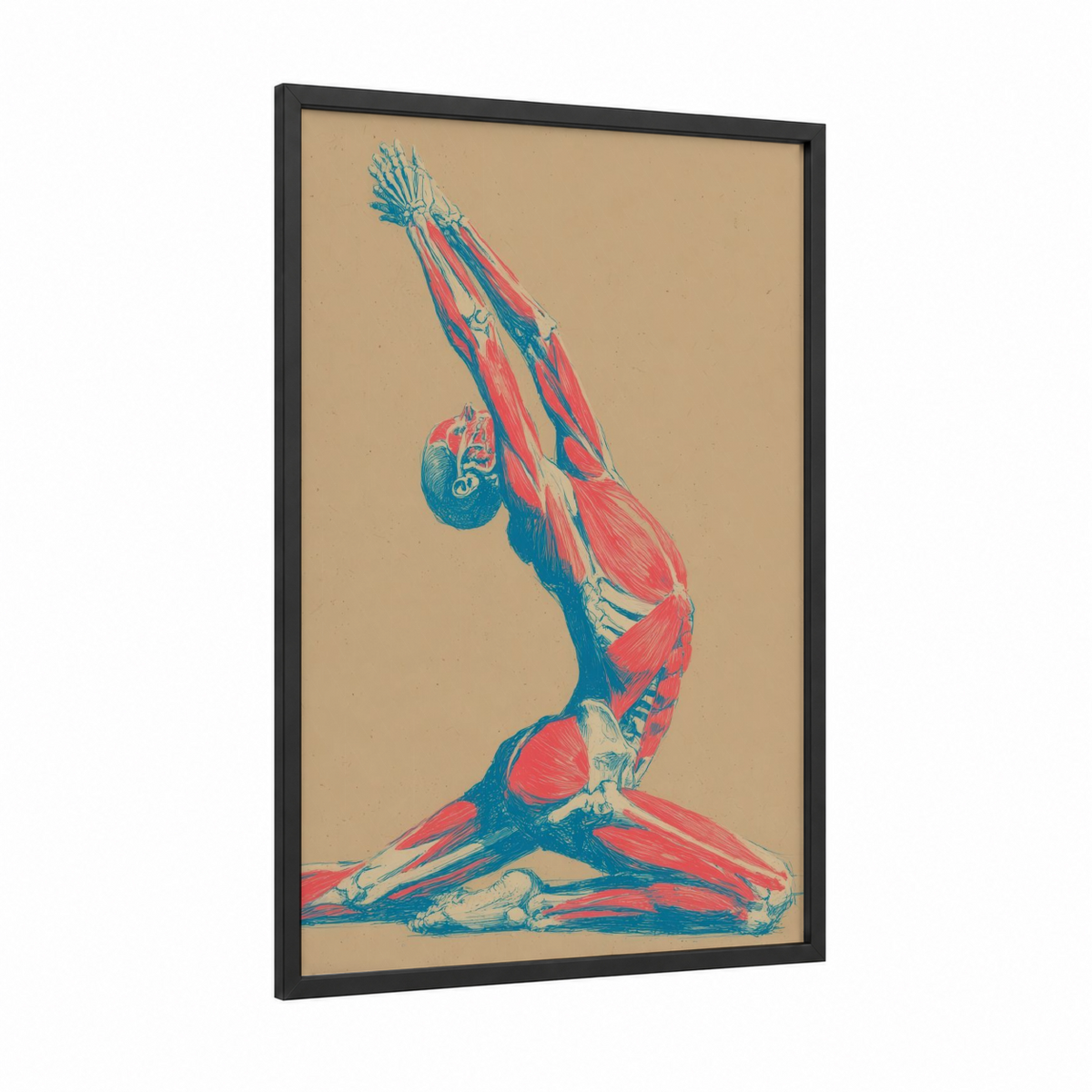 Anatomical Yoga Pose Fitness Wall Art