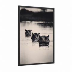African Hippos River Wildlife Photography Wall Art